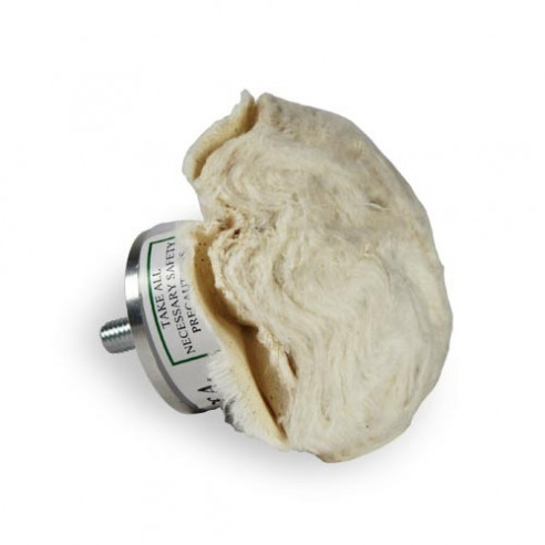 Champignon de polissage B